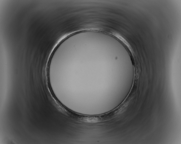 X0000086251291200704191834