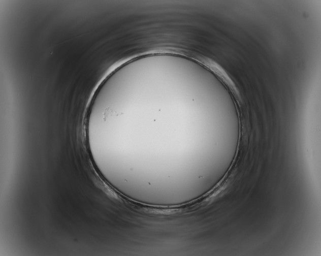 X0000086251292200704191834
