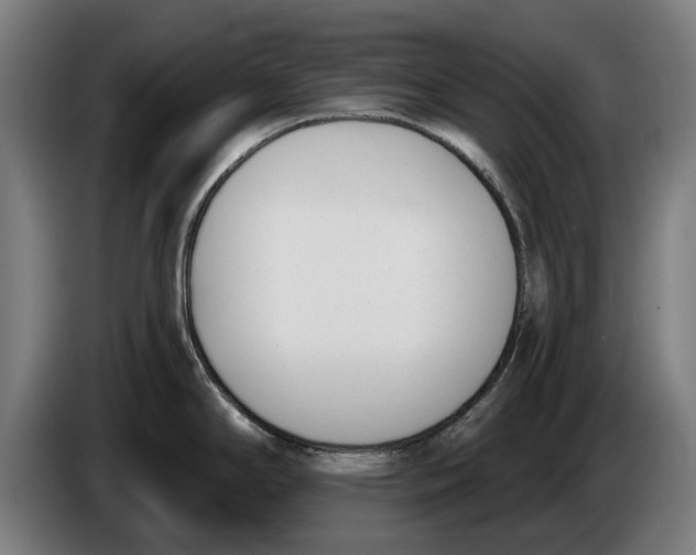 X0000086251294200704191834