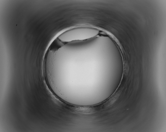 X0000086251295200704191834