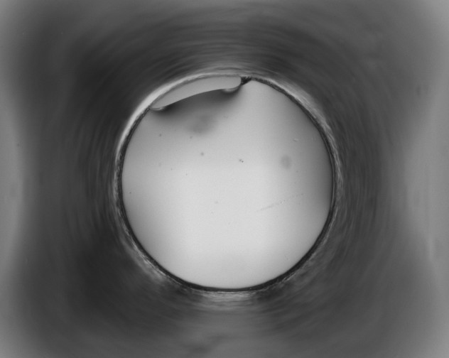 X0000086251296200704191834