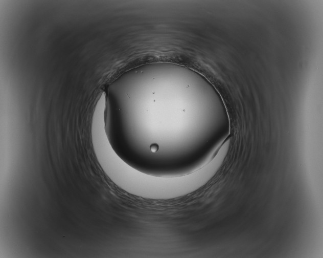 X0000086251298200704191834