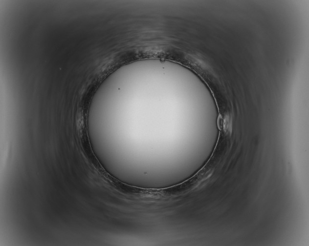 X0000086251299200704191834