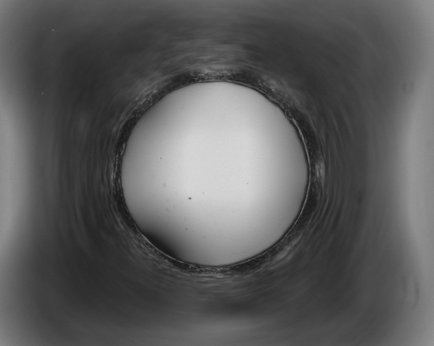 X0000086251300200704191834