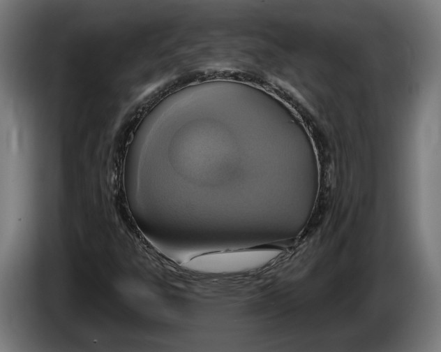 X0000086251303200704191834
