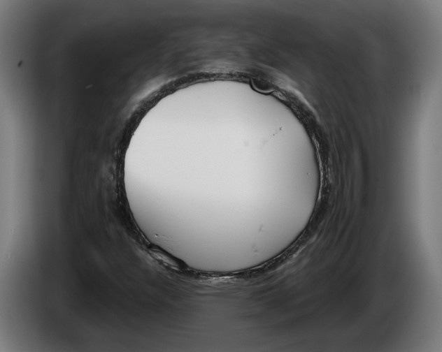 X0000086251304200704191834