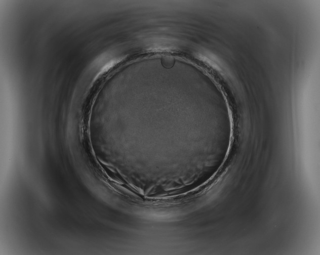 X0000086251306200704191834