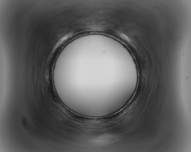 X0000086251307200704191834