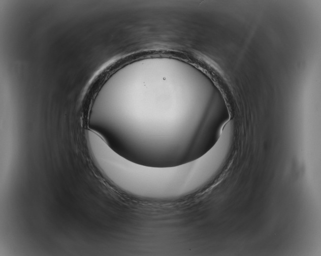 X0000086251310200704191834