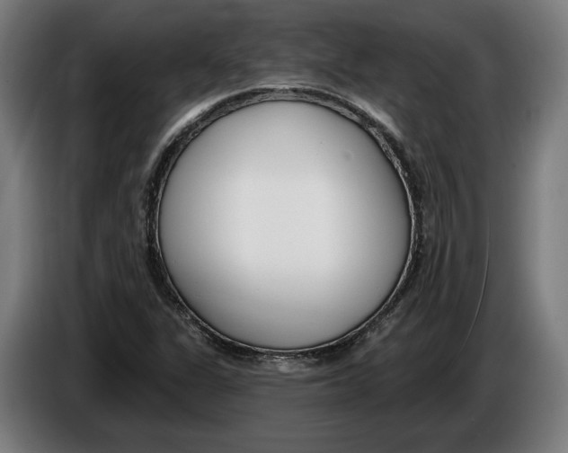 X0000086251311200704191834