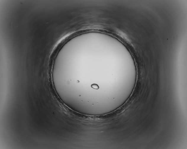 X0000086251312200704191834