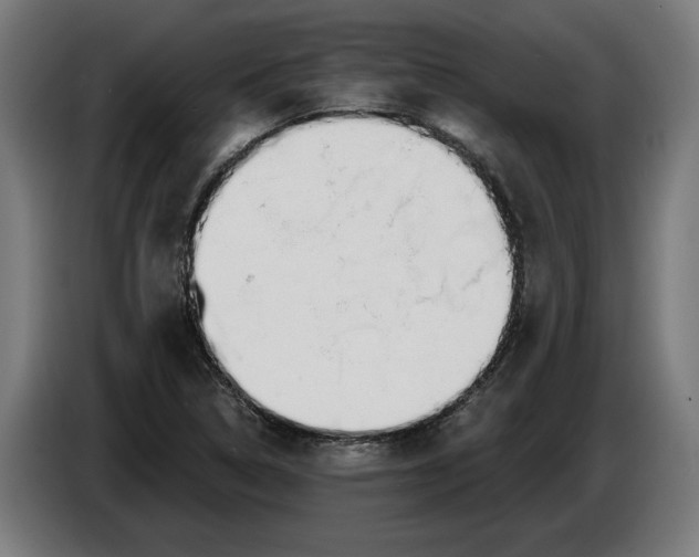 X0000086251314200704191834