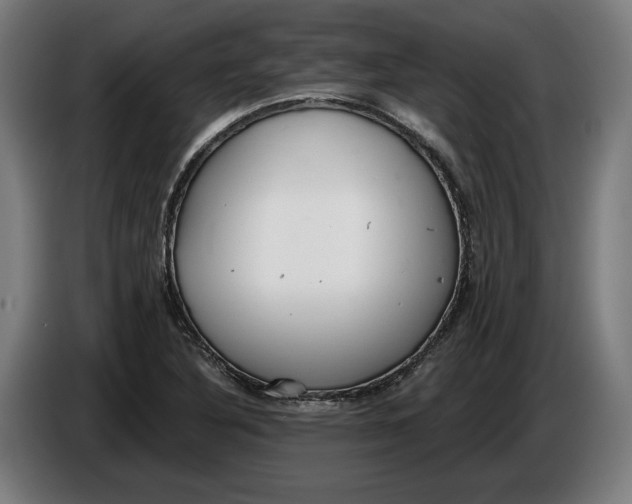 X0000086251316200704191834