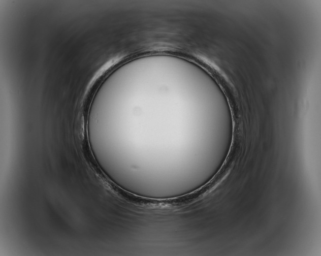 X0000086251317200704191834