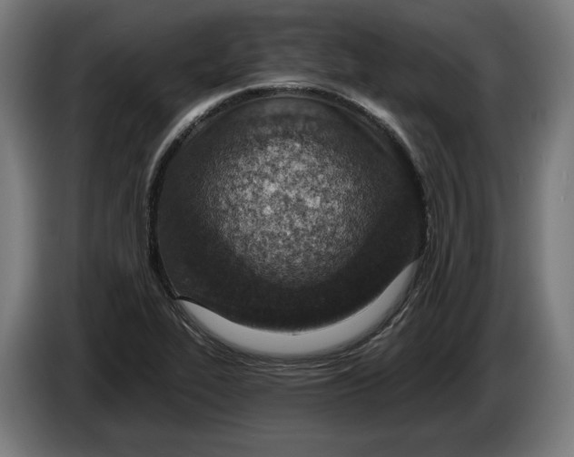 X0000086251319200704191834