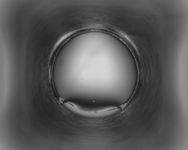 X0000086251320200704191834