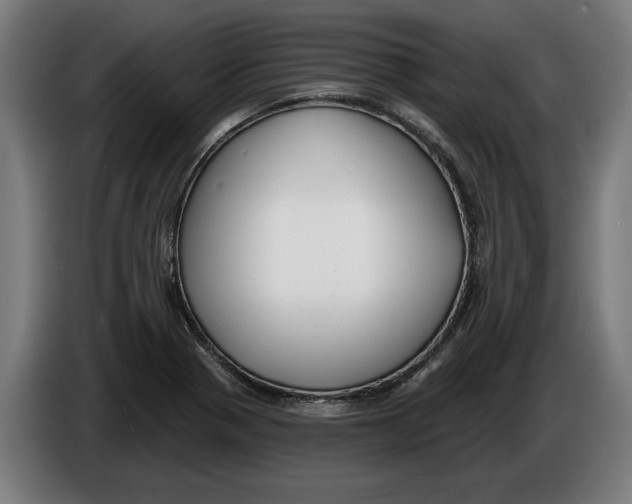 X0000086251321200704191834