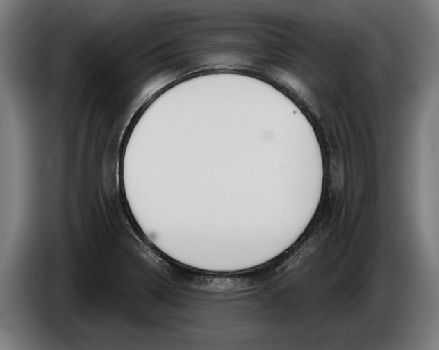 X0000086251322200704191834