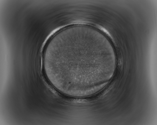 X0000086251323200704191834