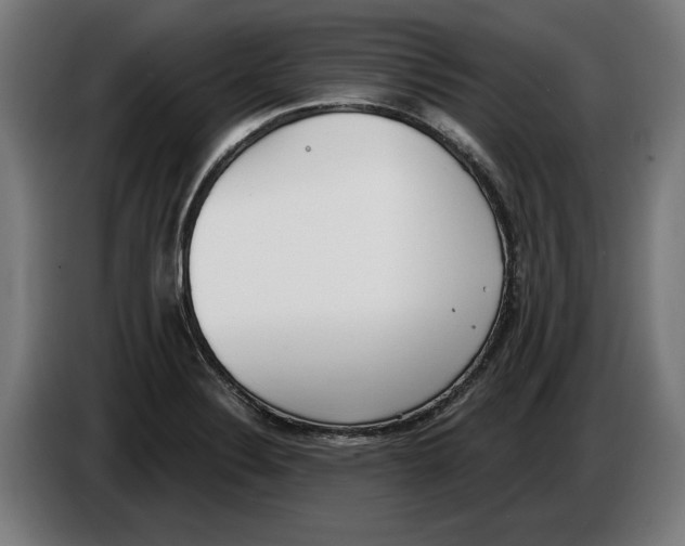 X0000086251324200704191834