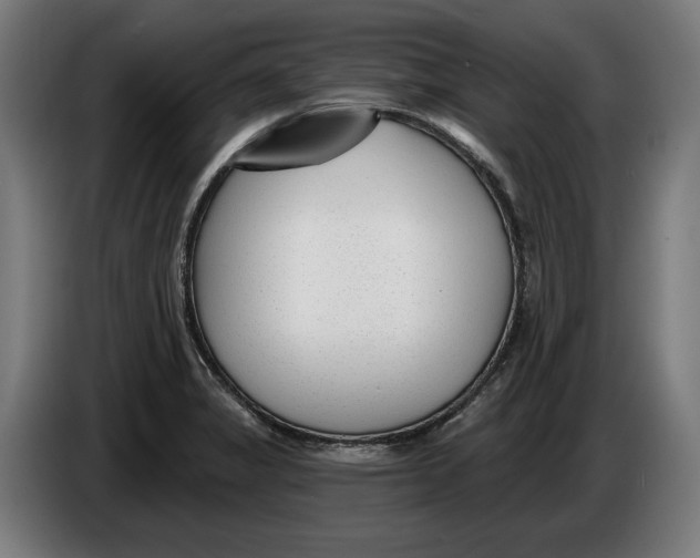 X0000086251325200704191834