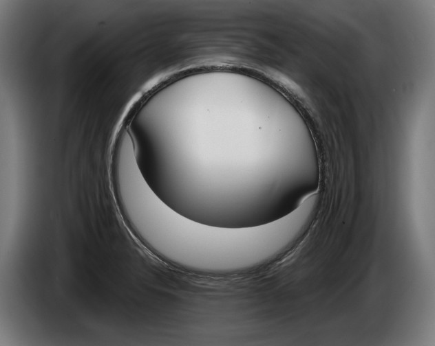 X0000086251326200704191834