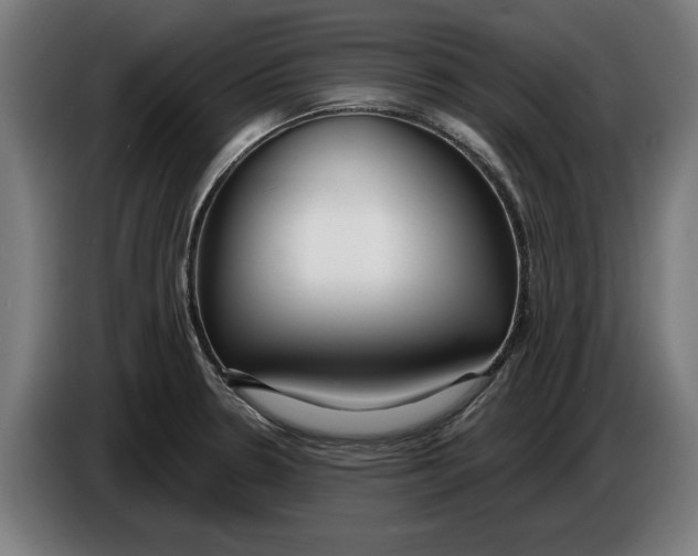 X0000086251330200704191834