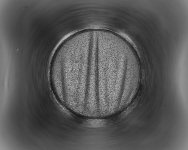 X0000086251331200704191834