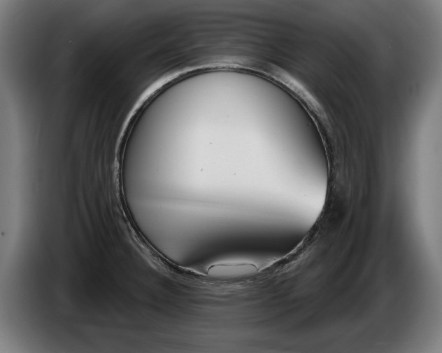 X0000086251332200704191834