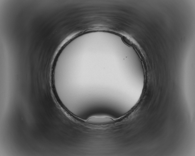 X0000086251333200704191834