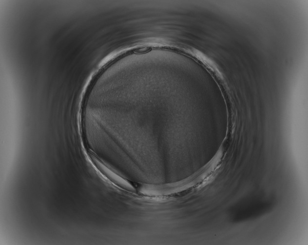X0000086251334200704191834
