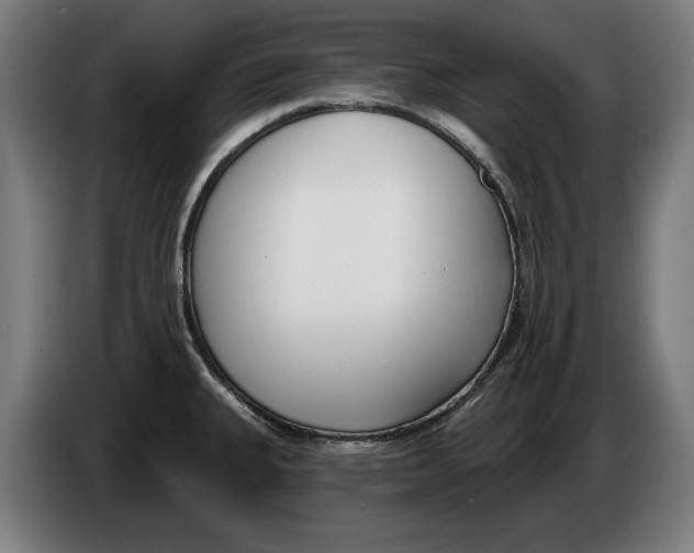 X0000086251335200704191834