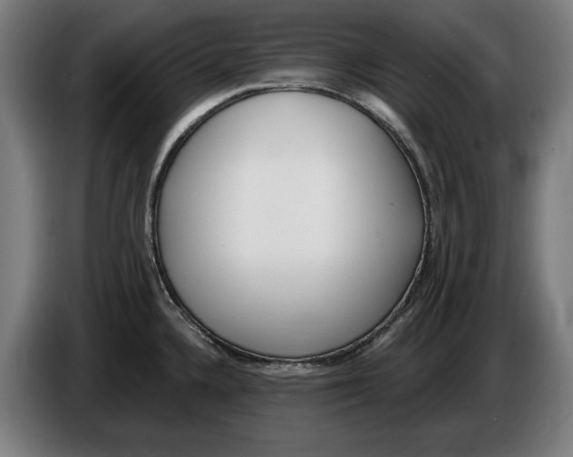X0000086251336200704191834
