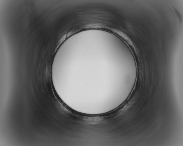 X0000086251337200704191834