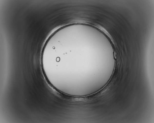 X0000086251339200704191834