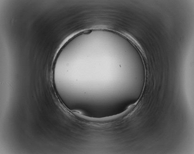 X0000086251340200704191834