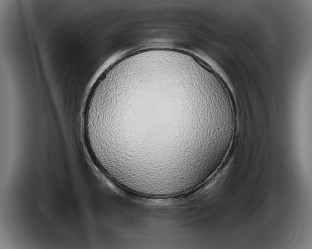 X0000086251341200704191834