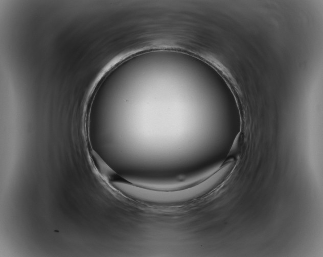 X0000086251342200704191834