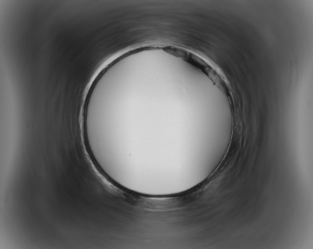 X0000086251343200704191834