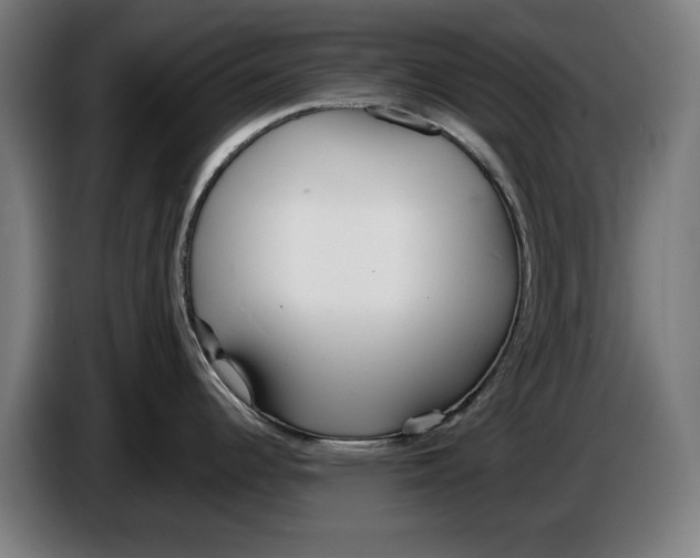 X0000086251344200704191834