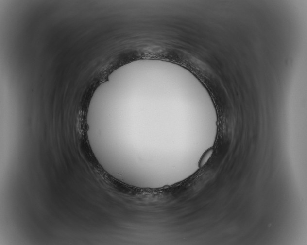 X0000086251346200704191834