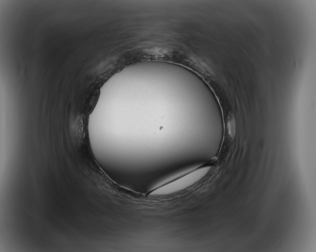 X0000086251347200704191834