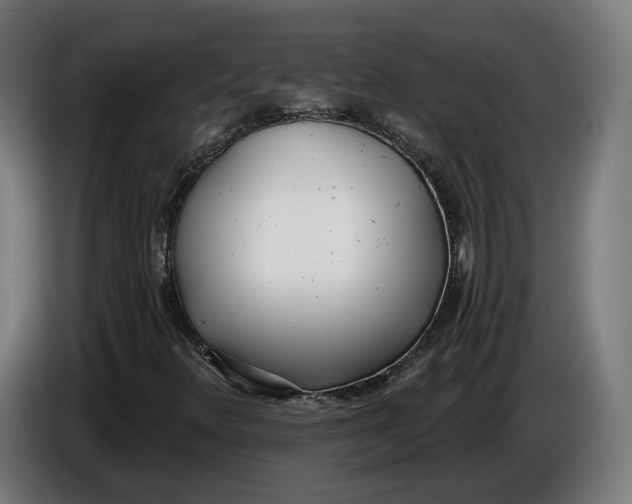 X0000086251348200704191834
