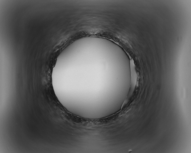 X0000086251349200704191834