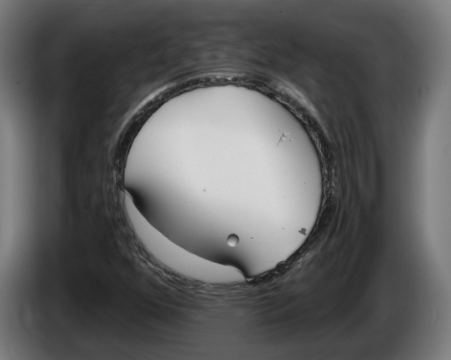 X0000086251352200704191834