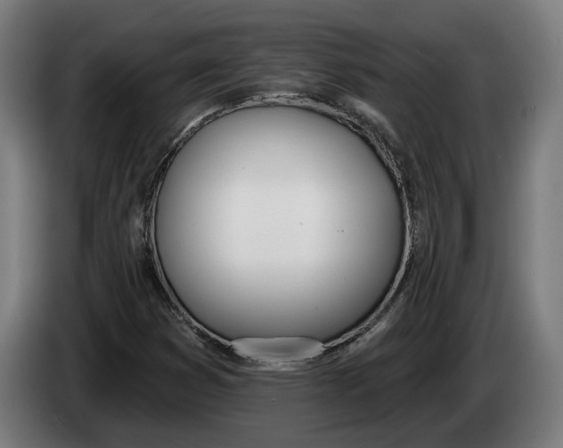 X0000086251353200704191834