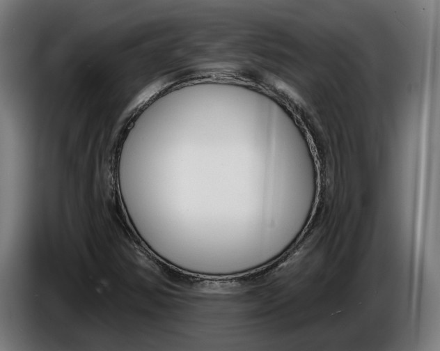 X0000086251354200704191834