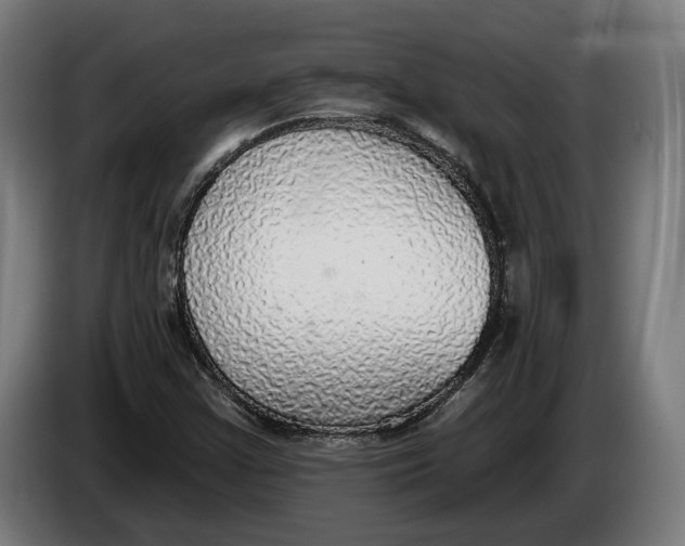 X0000086251355200704191834