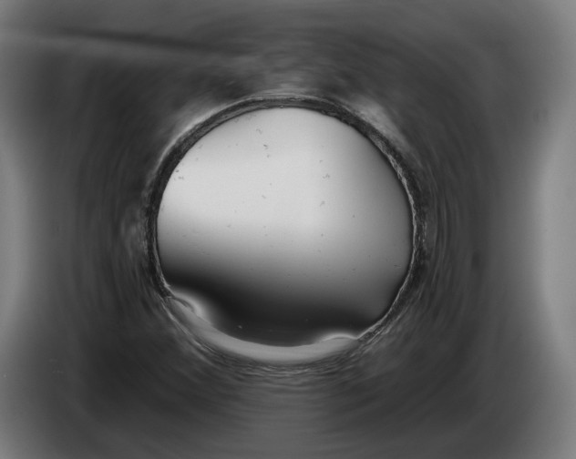X0000086251356200704191834