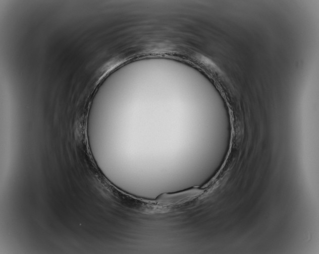 X0000086251361200704191834
